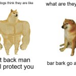 facts | what dogs think they are like; what are they like; get back man i will protect you; bar bark go away | image tagged in memes,buff doge vs cheems | made w/ Imgflip meme maker