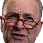 CHUCK SCHUMER - HEAD