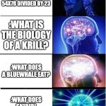 We all got the last one | :WHAT IS THE SQUARE ROOT OF 54X78 DIVIDED BY 23; :WHAT IS THE BIOLOGY OF A KRILL? :WHAT DOES A BLUEWHALE EAT? :WHAT DOES SKIBIDI OHIO GYATT MEAN? | image tagged in memes,expanding brain | made w/ Imgflip meme maker