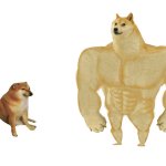 Big dog small dog reverse