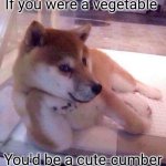 Cutecumber | If you were a vegetable; You'd be a cute-cumber | image tagged in flirting doge | made w/ Imgflip meme maker