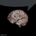 Brainrot speech bubble GIF Template