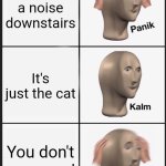 Panik Kalm Panik | You hear a noise downstairs; It's just the cat; You don't own a cat | image tagged in memes,panik kalm panik | made w/ Imgflip meme maker