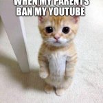 Cute Cat | WHEN MY PARENTS BAN MY YOUTUBE | image tagged in memes,cute cat | made w/ Imgflip meme maker