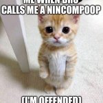 almost crashed out | ME WHEN BRO CALLS ME A NINCOMPOOP; (I'M OFFENDED) | image tagged in memes | made w/ Imgflip meme maker