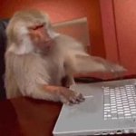 angry monkey pc GIF Template