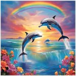 dolphins rainbow