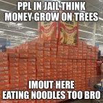 Ramen noodle ain’t just for jail | PPL IN JAIL THINK MONEY GROW ON TREES; I’M OUT HERE EATING NOODLES TOO BRO | image tagged in lots of ramen noodles,jail | made w/ Imgflip meme maker