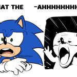 Sonic what the meme