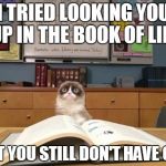 Book of Life | I TRIED LOOKING YOU UP IN THE BOOK OF LIFE BUT YOU STILL DON'T HAVE ONE | image tagged in grumpy cat studying,memes,grumpy cat,lol | made w/ Imgflip meme maker