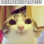 I feel like I'm not dumb when my friend fail the test too | WHEN YOU AND YOUR FRIEND FAILED THE TEST | image tagged in memes,smiling cat | made w/ Imgflip meme maker