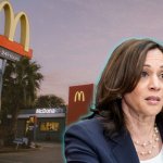 Kamala Harris McDonald's