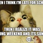 pls upvote I've only got one upvote ever and I've posted for than 100 memes | WHEN I THINK I'M LATE FOR SCHOOL; THEN I REALIZE IT WAS A LONG WEEKEND AND ITS SUNDAY; YAY! | image tagged in memes,scared cat | made w/ Imgflip meme maker