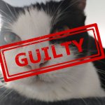 Guilty Luna