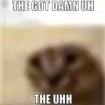 The Got Damn Uh Cat meme