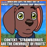 dude what? | WHEN BRO SAYS THE MOST OUT OF POCKET, LEFT-FIELD, RANDOM CRAP IMAGINABLE; CONTEXT: "STRAWBERRIES ARE THE CHEVROLET OF FRUITS" | image tagged in emotinless | made w/ Imgflip meme maker