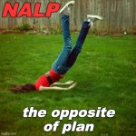 Behold the beautiful fail foliage | NALP; the opposite of plan | image tagged in faceplant,plan,fail,you had one job | made w/ Imgflip meme maker