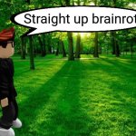 MC straight up brainrot Roblox remake