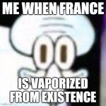 F*ance | ME WHEN FRANCE; IS VAPORIZED FROM EXISTENCE | image tagged in hello sir would you like to buy some lettuce | made w/ Imgflip meme maker