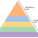 basic needs