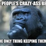 Different definitions of sanity? | SOME PEOPLE'S CRAZY-ASS BELIEFS; ARE THE ONLY THING KEEPING THEM SANE | image tagged in deep thoughts,crazy,beliefs,people,smart,dumb | made w/ Imgflip meme maker