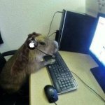 capibara call center