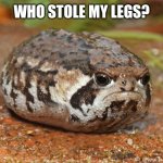 Who stole my legs? | WHO STOLE MY LEGS? | image tagged in angry toad with no legs,memes | made w/ Imgflip meme maker