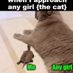 When I try to talk with any girl | Me {the turtle} when I approach any girl {the cat}; Me               Any girl | image tagged in gifs,run away,girls,dating,relationship | made w/ Imgflip video-to-gif maker