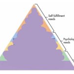 maslow's heirarchy of needs