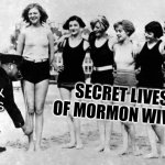 Secret Lives of Mormon Wives check | SECRET LIVES OF MORMON WIVES; ORTHODOX MORMONS | image tagged in bikini police | made w/ Imgflip meme maker