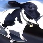 Skateboard cow