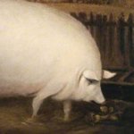 You truly are despicable, brother