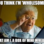 Grandma Finds The Internet | YOU THINK I'M 'WHOLESOME'? WHAT AM I, A BOX OF MINI WHEATS? | image tagged in memes,grandma finds the internet | made w/ Imgflip meme maker