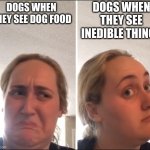 free epic Ragu | DOGS WHEN THEY SEE INEDIBLE THINGS; DOGS WHEN THEY SEE DOG FOOD | image tagged in kombucha girl | made w/ Imgflip meme maker