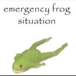 Emergency Frog situation