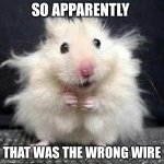 Stressed Mouse | SO APPARENTLY; THAT WAS THE WRONG WIRE | image tagged in stressed mouse | made w/ Imgflip meme maker