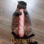 Baguette Cat meme