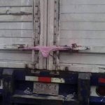 panties