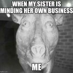 Pig staring at doorbell | WHEN MY SISTER IS MINDING HER OWN BUSINESS; ME | image tagged in pig staring at doorbell | made w/ Imgflip meme maker