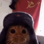 Cat communism GIF Template