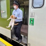 Cat getting evicted from train