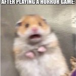 Scared Hamster | WHEN YOU HEAR FOOTSTEPS AFTER PLAYING A HORROR GAME: | image tagged in scared hamster | made w/ Imgflip meme maker