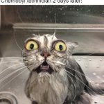 Are you going to Chernobyl? | Chernobyl technician: Huh, that's weird! Chernobyl technician 2 days later: | image tagged in wet scary cat,memes,funny | made w/ Imgflip meme maker