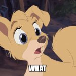 What | WHAT | image tagged in lady and the tramp 2 angel | made w/ Imgflip meme maker