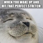 Satisfied Seal | WHEN YOU WAKE UP AND HIT THAT PERFECT STRETCH: | image tagged in memes,satisfied seal | made w/ Imgflip meme maker