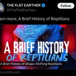 Reptilian History