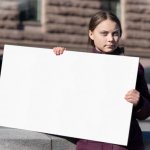 GRETA THUNBERG_SIGN OF CONFUSION meme