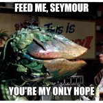 Little Shop of Horrors: A New Hope | FEED ME, SEYMOUR; YOU'RE MY ONLY HOPE | image tagged in little shop of horrors a new hope | made w/ Imgflip meme maker