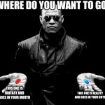 as we know reality is harsh | WHERE DO YOU WANT TO GO? THIS ONE IS FANTASY AND GOES IN YOUR MOUTH; THIS ONE IS REALITY AND GOES IN YOUR BUTT | image tagged in morpheus matrix blue pill red pill | made w/ Imgflip meme maker