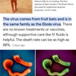 Funny | HOW ARE PEOPLE IN THE FAR EAST EATING FRUIT BATS AND PEOPLE IN CENTRAL AFRICA MAKE MEDICINE OUT OF BATS AND YET IN RWANDA PEOPLE GET EBOLA FROM BATS?? AND NOW THE PRONOUNS PEOPLE MUST HAVE GOTTEN TO THE EBOLA PEOPLE BECAUSE NOW IT'S CALLED SOMETHING ELSE AND DEPENDING ON WHO'S TELLING THE STORY THE COLORS CHANGE ON THE SAME VIRUS?? | image tagged in funny,medicine,food,bats,virus,pronouns | made w/ Imgflip meme maker